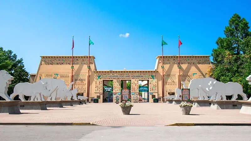 Discover Main Image